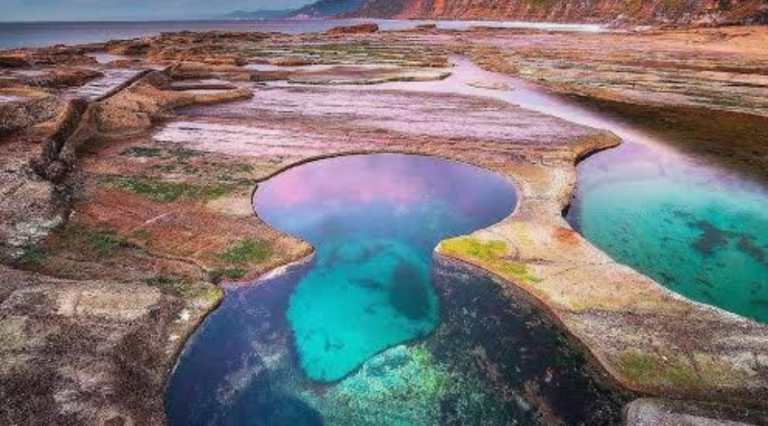 3-figure eight pools photo