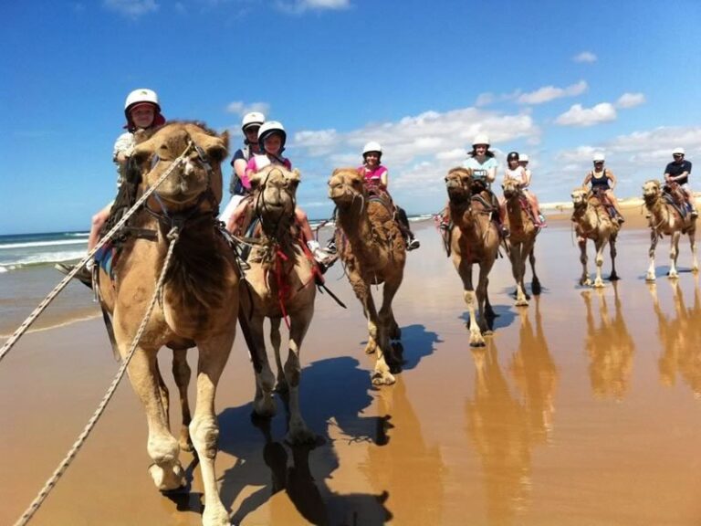 171013160848beach-riding