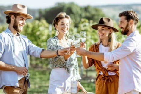 Four people toasting with wine glasses outside in a vineyard.