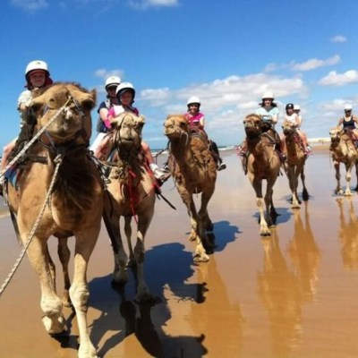 Group of people riding camels on a sunny beach, with blue sky and ocean in the background.