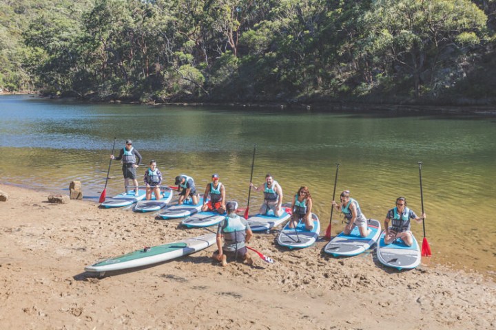 Group of people with paddleboards by a forest lake shore.