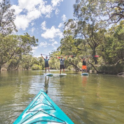 Three people stand-up paddleboarding on a river, surrounded by trees, with a kayak in the foreground.
