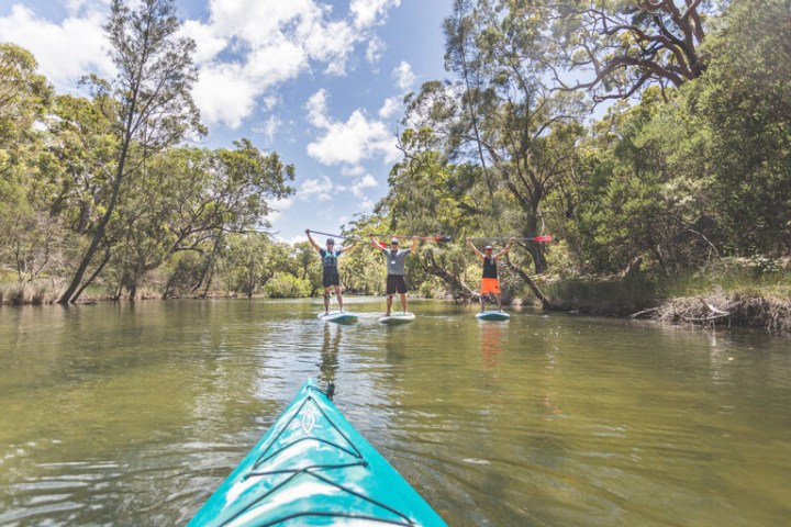 Three people stand-up paddleboarding on a river, surrounded by trees, with a kayak in the foreground.