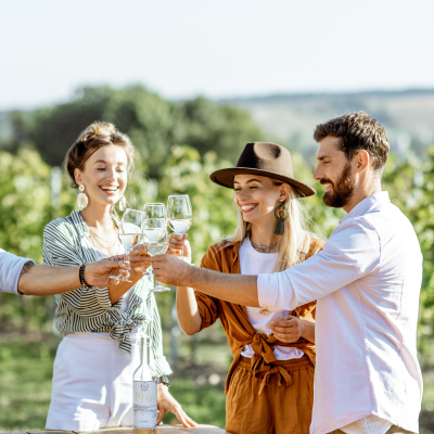 Group of four people toasting with wine glasses in a vineyard.